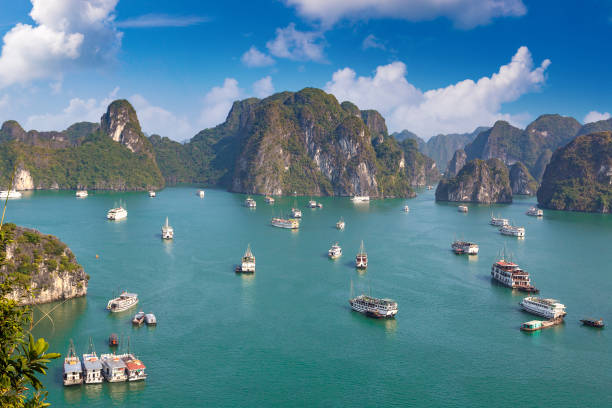 istock Halong bay, Vietnam 1256596136