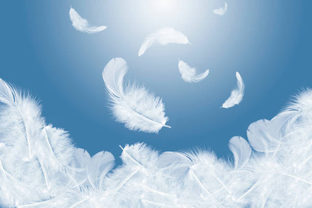 istock Light fluffy a white feathers falling down in the air. Father abstract background. 1256598205