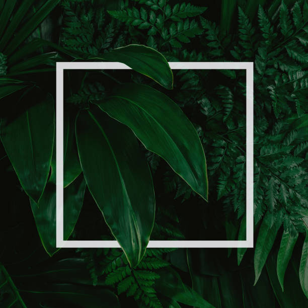 istock abstract green leaf texture, nature background, tropical leaf 1256598333