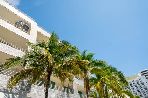 istock Deco architecture and palm trees Miami Beach FL 1256605287