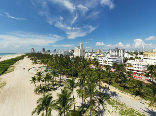 istock Palm trees Miami Beach Lummus Park FL 1256605871