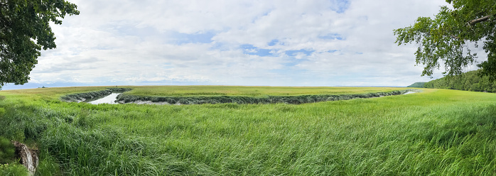 Panoramic view of the Campbell Creek Estuary in Anchorage, Alaska. Within these grasslands many bird species can be found.