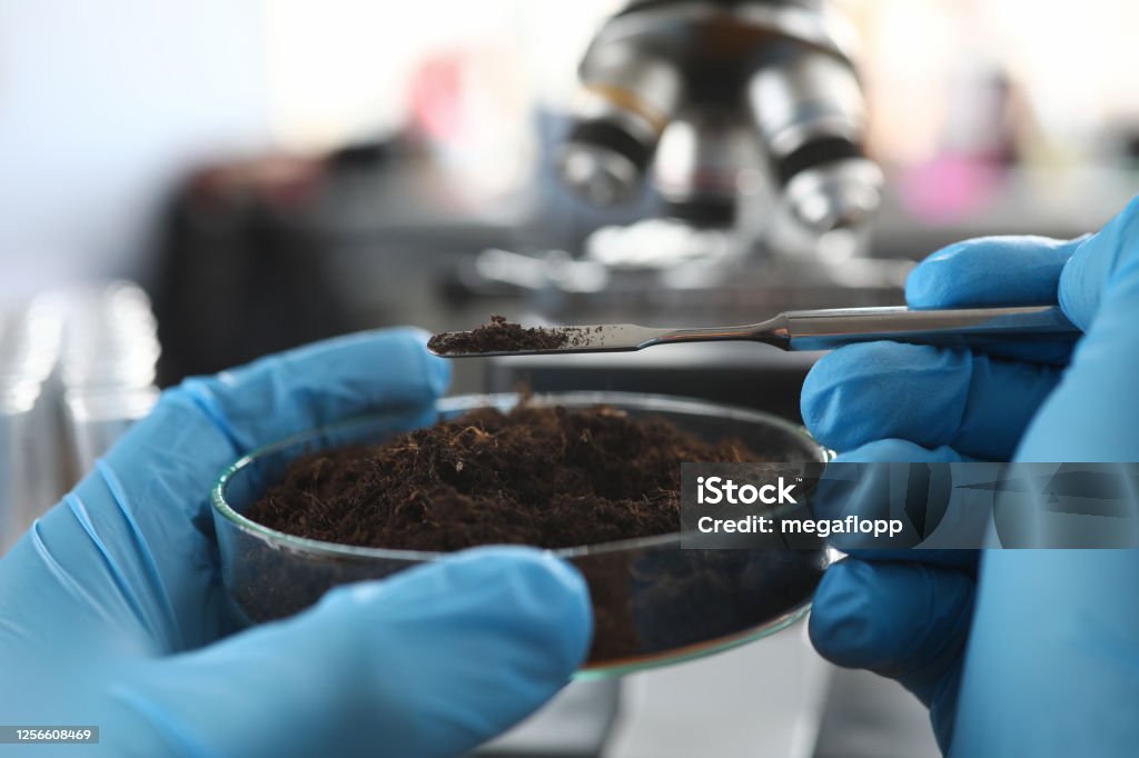 Scientist wearing protective gloves examining ground sample Scientist wearing protective gloves examining ground sample at laboratory close-up Dirt Stock Photo