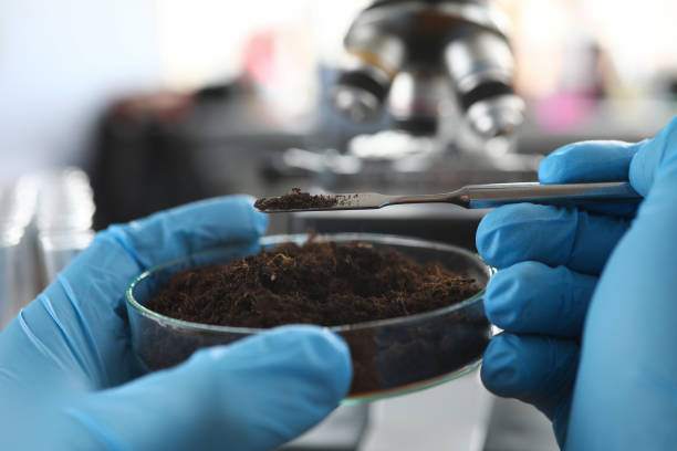 Scientist wearing protective gloves examining ground sample Scientist wearing protective gloves examining ground sample at laboratory close-up Peat stock pictures, royalty-free photos & images