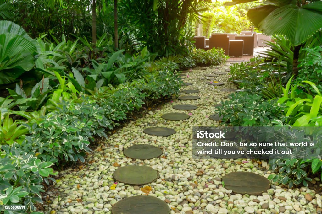 Circle shape of pattern walkway stepping sand stone on white gravel in a backyard garden of lush greenery plant,  shrub and trees Service Stock Photo