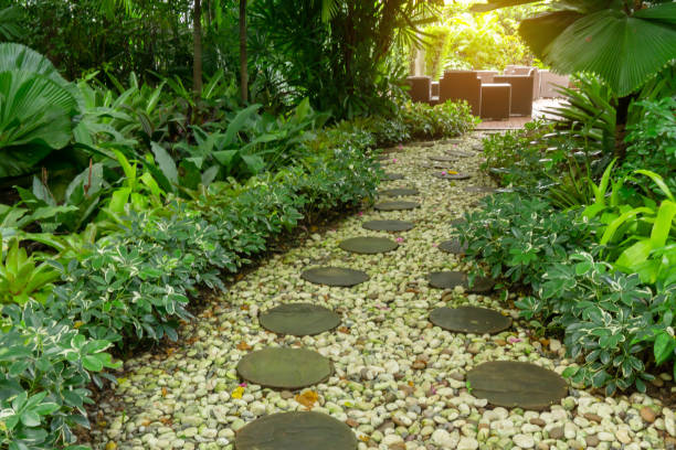 Circle shape of pattern walkway stepping sand stone on white gravel in a backyard garden of lush greenery plant,  shrub and trees stock photo