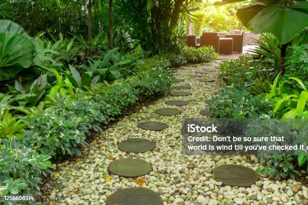 Circle Shape Of Pattern Walkway Stepping Sand Stone On White Gravel In A Backyard Garden Of Lush Greenery Plant Shrub And Trees Stock Photo - Download Image Now