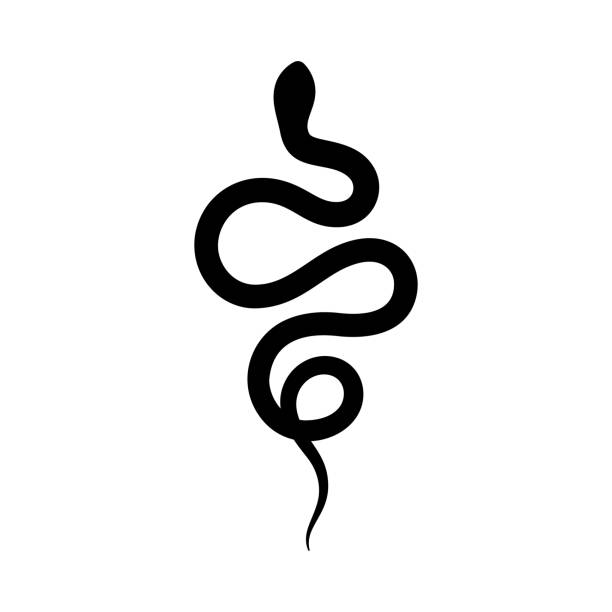 illustrations, cliparts, dessins animés et icônes de silhouette de serpent noir dans un style minimaliste simple. illustration isolée de vecteur sur un fond blanc. - snake adder viper reptile