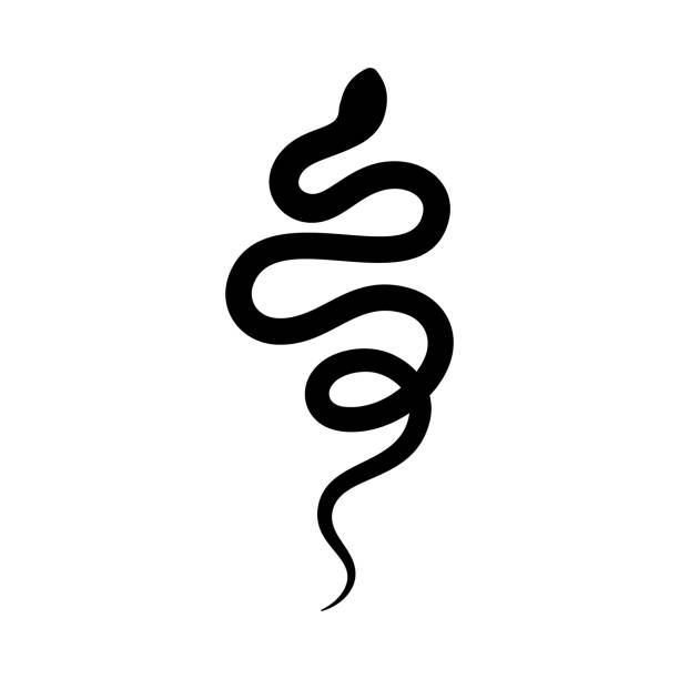 Black snake Silhouette in a simple minimalistic style. Vector isolated illustration on a white background. Black snake Silhouette in a simple minimalistic style. Vector isolated illustration on a white background. The icon of the serpent. Boa stock illustrations