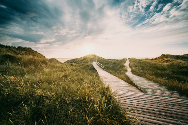 Way through the dunes Boardwalk through the dunes, Amrum, Germany amrum stock pictures, royalty-free photos & images