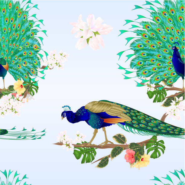 istock Seamless texture Peacocks  tropical birds on branch with hibiscus vector 1256615972
