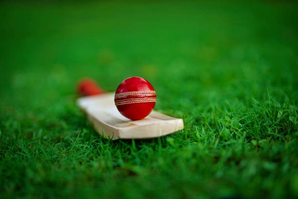leder cricket ball ruht auf einem cricket-schläger auf grünem gras cricket-boden-pitch platziert - cricket stock-fotos und bilder