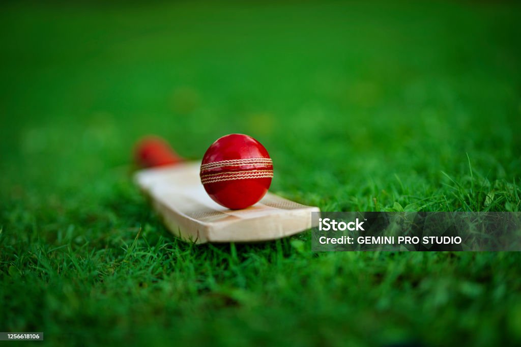 leather Cricket ball resting on a cricket bat placed on green grass cricket ground pitch Sport of Cricket Stock Photo