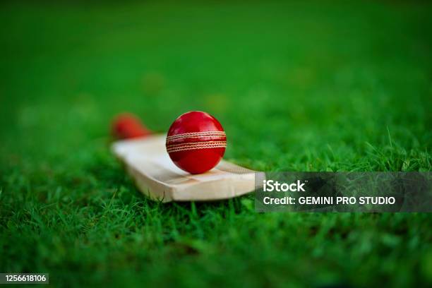 Leather Cricket Ball Resting On A Cricket Bat Placed On Green Grass Cricket Ground Pitch Stock Photo - Download Image Now