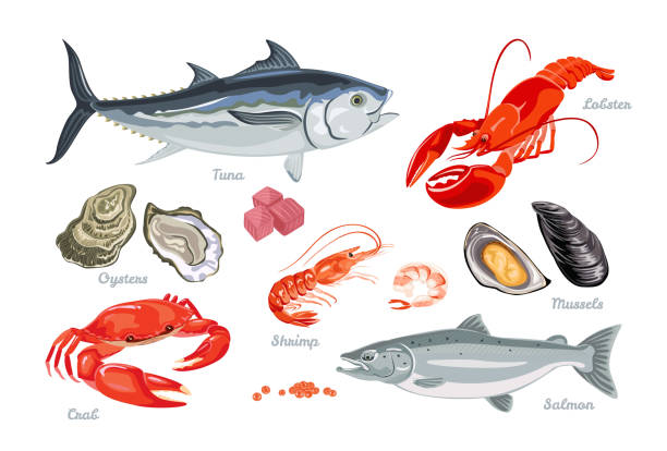 ilustrações de stock, clip art, desenhos animados e ícones de set of vector seafood and fish. cartoon flat illustration of mussel, salmon fish, shrimp, caviar, lobster, crayfish, crab, oyster and tuna isolated on white. - tuna sashimi sea fish