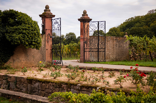 Beautiful authentic gates to the vineyard. French landscape.