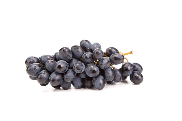 istock Branch of black ripe grapes. 1256627910