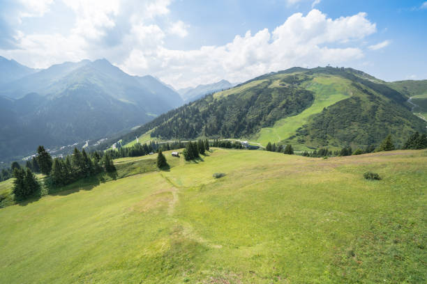 istock Idyllic summer landscape in the Alps 1256631082