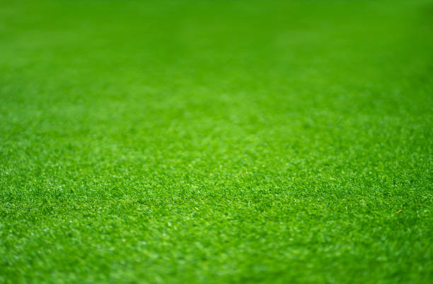 istock Beautiful Artificial grass texture wallpaper and background concept. 1256632313