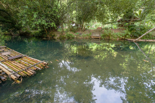 belo canal com água clara e folhas verdes de árvores no fundo da floresta tropical. jangadas de bambu flutuam na água preparadas e prontas para passeio popular de dia turístico no famoso canal, rio. sudeste da tailândia. bambu reft feito de moradores  - rafting thailand river inflatable raft - fotografias e filmes do acervo