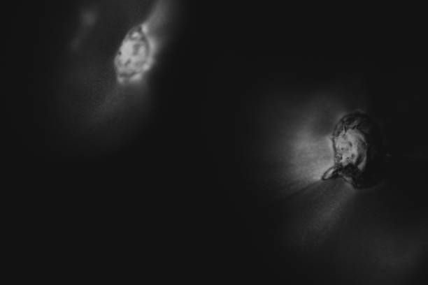 istock vegetables on a dark background 1256634211