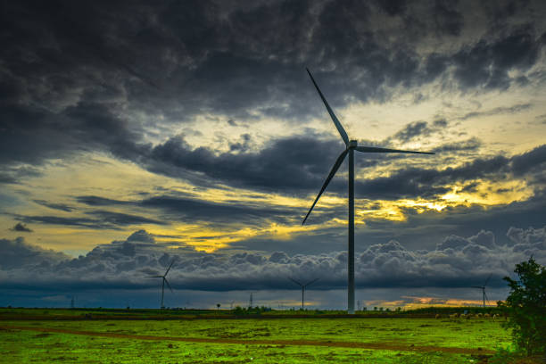 Beautiful view of windmill with green grass on floor and dramatic clouds above during evening hours Beautiful view of windmill with green grass on floor and dramatic clouds above during evening hours trachycarpus photos stock pictures, royalty-free photos & images
