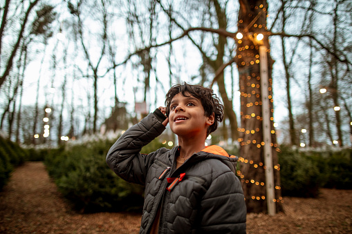 A young boy standing on a Christmas tree farm while looking up and smiling.