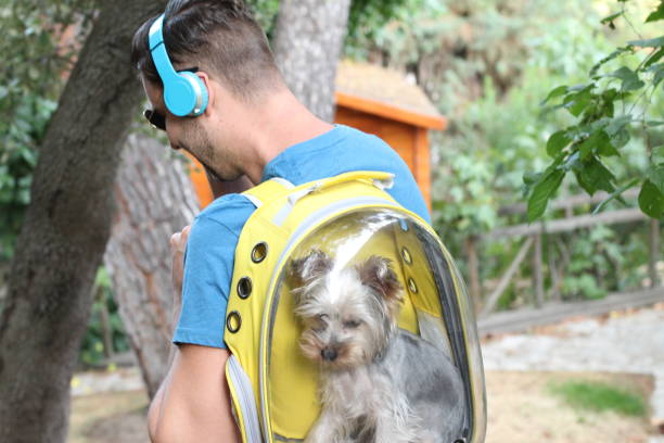 jovem carregando cachorro em uma mochila - car transporter audio - fotografias e filmes do acervo