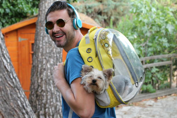 istock Handsome man carrying dog in a backpack 1256639199