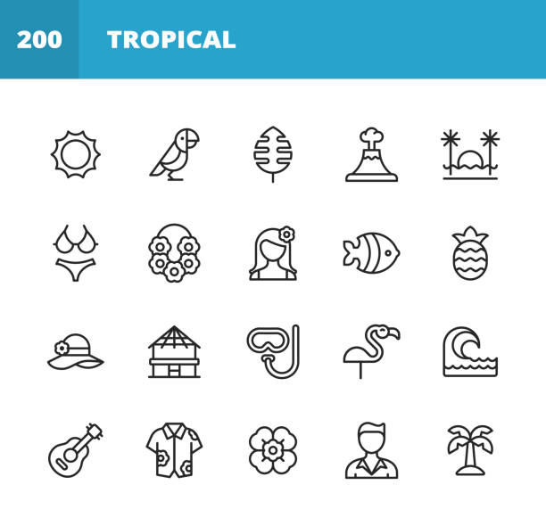 illustrations, cliparts, dessins animés et icônes de icônes de ligne tropicales et exotiques. course modifiable. pixel parfait. pour mobile et web. contient des icônes telles que l’été, hawaii, île, perroquet, feuille, plage, cocktail, collier, fleur, touriste, ananas, chapeau, plongée avec tuba, sur - hawaii islands beach island palm tree