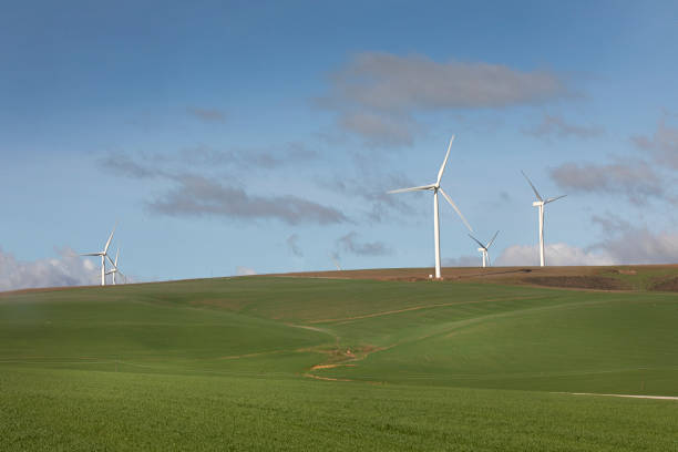 istock Wind turbines in a fiield in South Africa 1256639990