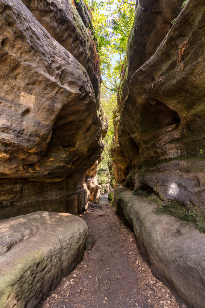 istock Rock labyrinth in the Saxon Switzerland 1256641519