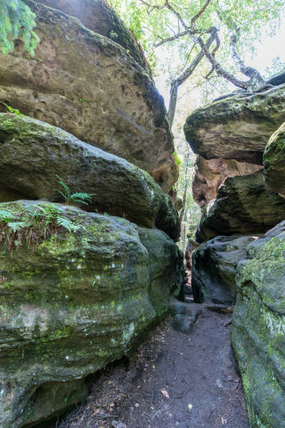 istock Rock labyrinth in the Saxon Switzerland 1256641521