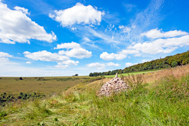 Dorset's picturesque Nature Reserves of Fontmell and Melbury near Compton Abbas and Fontmell Magna provide a variety of wild flowers, meadows and agricultural land set with quaint villages and stone buildings in this idyllic countryside on a sunny day in summer