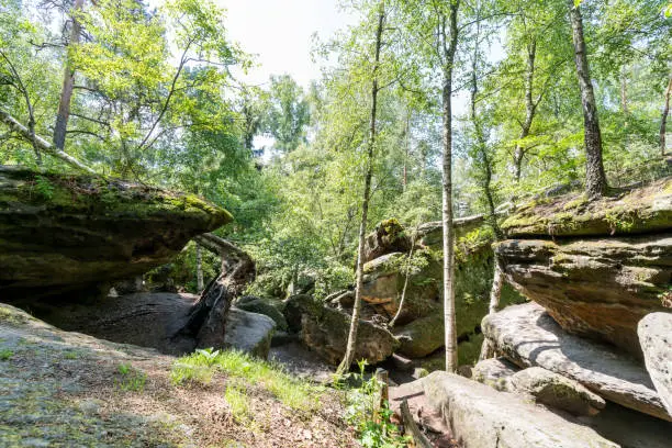 Photo of Rock labyrinth in the Saxon Switzerland