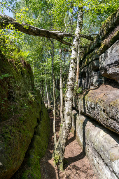 istock Rock labyrinth in the Saxon Switzerland 1256642858
