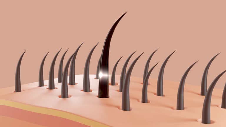 554 Hair Follicle Stock Videos and Royalty-Free Footage - iStock | Hair follicle close up, Hair follicle illustration, Human hair follicle 554 Hair Follicle Stock Videos and Royalty-Free Footage - iStock | Hair follicle close up, Hair follicle illustration, Human hair follicle