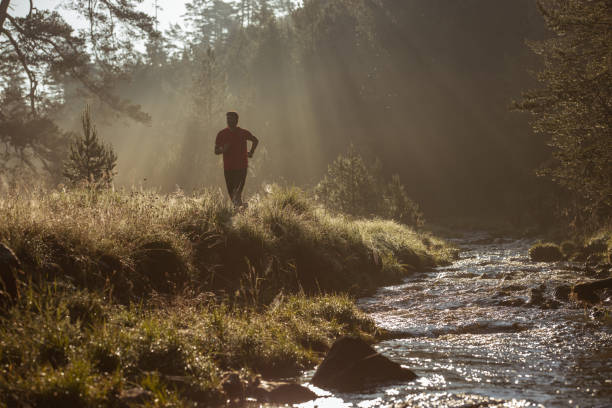 istock Morning jogging in a field 1256646296