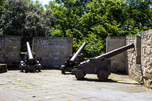 istock Three cannons on ancient defensive wall with green trees background 1256647079