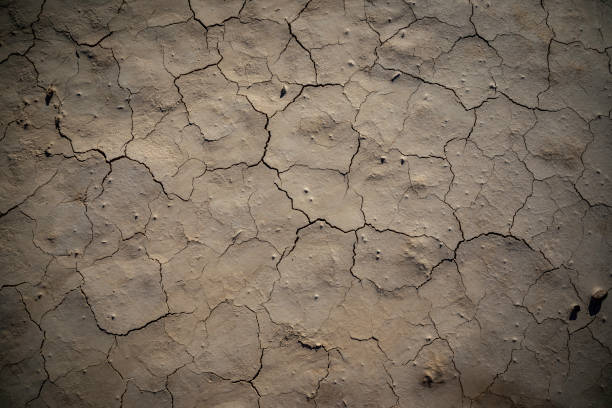 istock Desertic dry soil with cracks texture top shot 1256647093