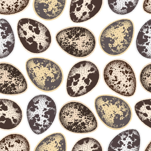 Vector seamless pattern with quail eggs. Eggshell graphic pattern. Colorful hand drawn vector. Design for fabric, print, textile, wrapping paper. Vector seamless pattern with quail eggs. Colorful hand drawn vector. Eggshell graphic pattern. Design for fabric, print, textile, wrapping paper. quail egg cartoon stock illustrations