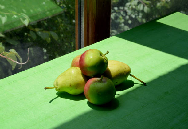 apples and pears on green background