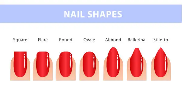 Vector illustration of The most popular forms of nails. Different types of nails. Manicure Guide.