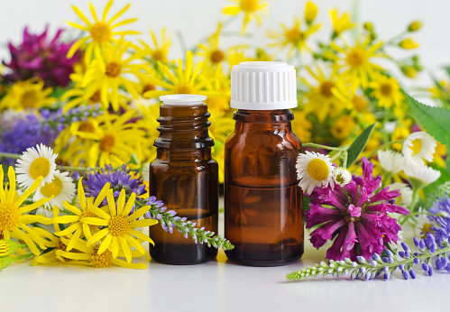 Two small glass bottles with essential oil (herbal tincture, extract, infusion) and wild flowers. Aromatherapy, spa and herbal medicine ingredients. Copy space.