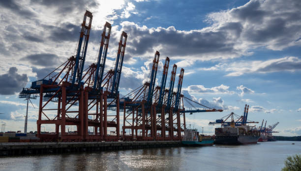istock Large container cranes at a dock side Waltershof in Hamburg, Germany. 1256651948