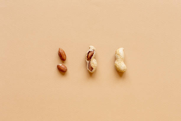 istock The texture with the walnuts on beige background. Peanuts in shells 1256664462