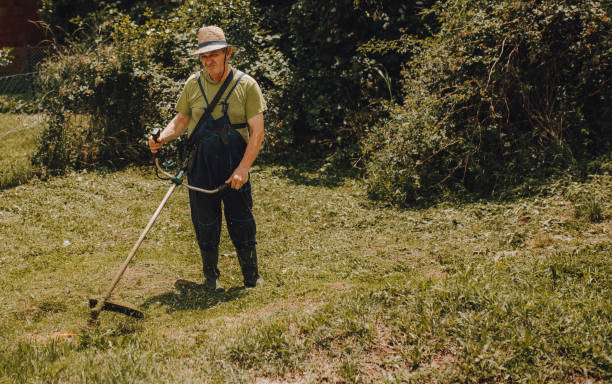 istock Man cutting grass in a park 1256666282