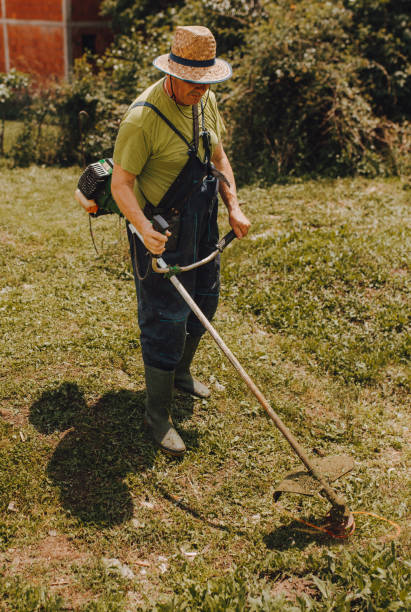 istock Man cutting grass in a park 1256666283
