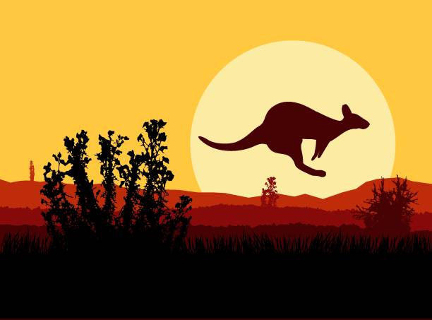 0415.eps - kangaroo outback australia sunset stock-grafiken, -clipart, -cartoons und -symbole