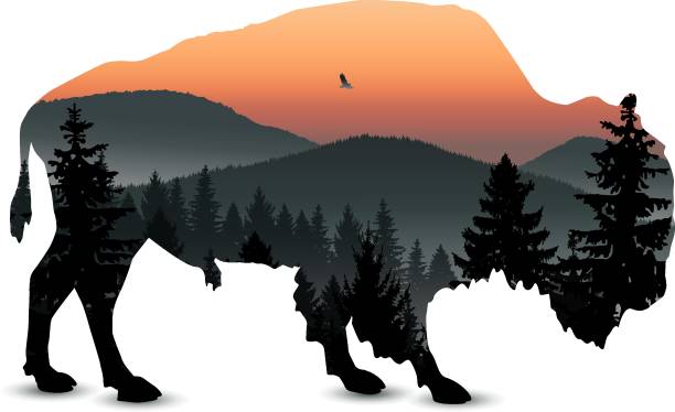 Silhouette of bison Silhouette of bison with mountain landscape. silhouette evergreen tree back lit pink stock illustrations